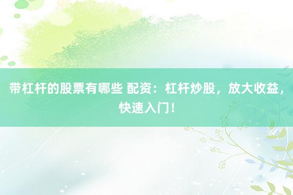 带杠杆的股票有哪些 配资：杠杆炒股，放大收益，快速入门！