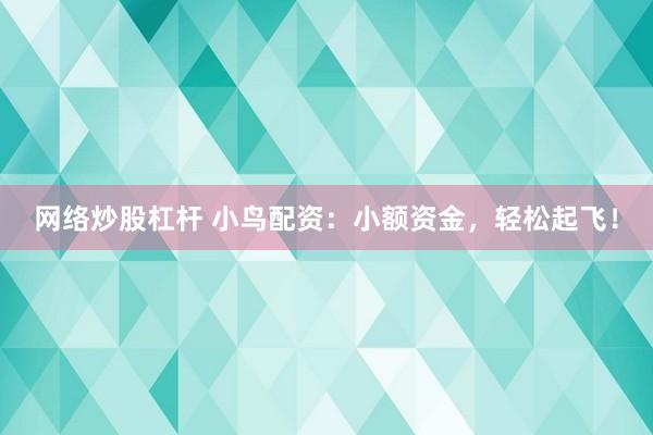 网络炒股杠杆 小鸟配资：小额资金，轻松起飞！