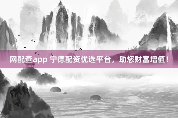 网配查app 宁德配资优选平台，助您财富增值！