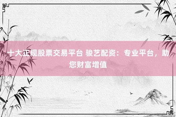 十大正规股票交易平台 骏艺配资：专业平台，助您财富增值