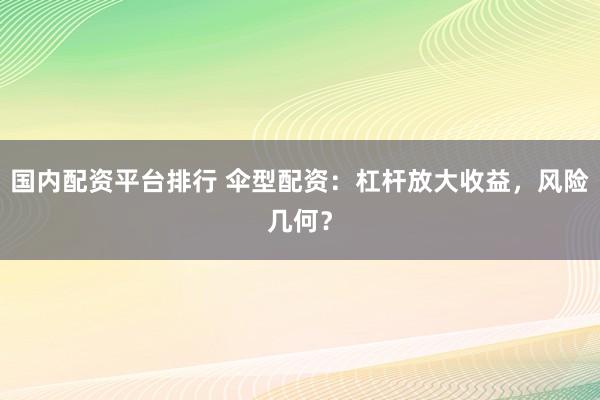 国内配资平台排行 伞型配资：杠杆放大收益，风险几何？