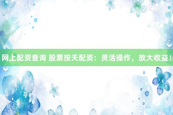 网上配资查询 股票按天配资：灵活操作，放大收益！