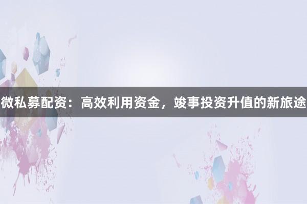 微私募配资：高效利用资金，竣事投资升值的新旅途