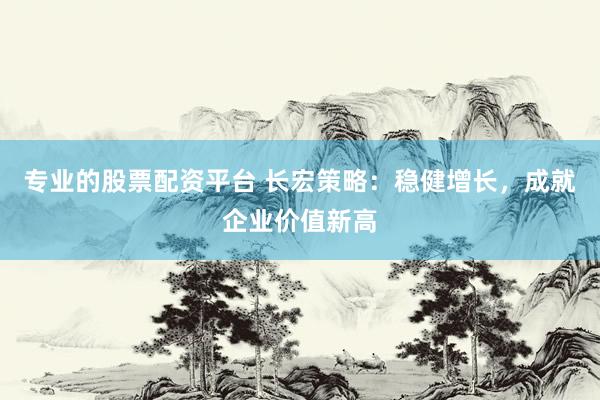专业的股票配资平台 长宏策略：稳健增长，成就企业价值新高