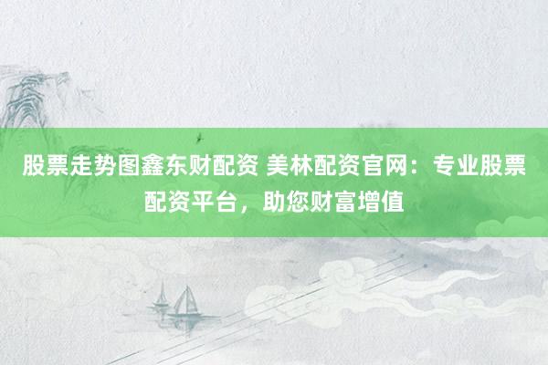 股票走势图鑫东财配资 美林配资官网：专业股票配资平台，助您财富增值