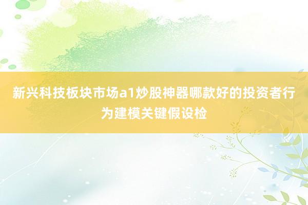 新兴科技板块市场a1炒股神器哪款好的投资者行为建模关键假设检