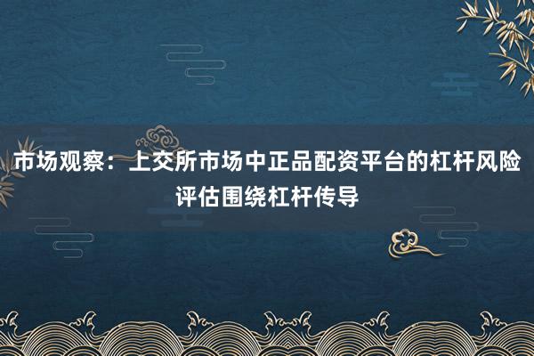 市场观察：上交所市场中正品配资平台的杠杆风险评估围绕杠杆传导