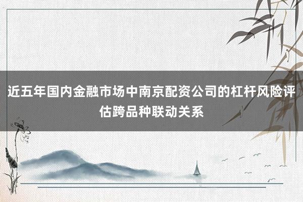近五年国内金融市场中南京配资公司的杠杆风险评估跨品种联动关系