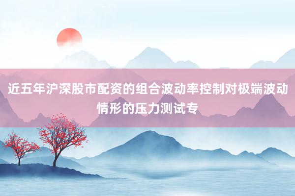近五年沪深股市配资的组合波动率控制对极端波动情形的压力测试专