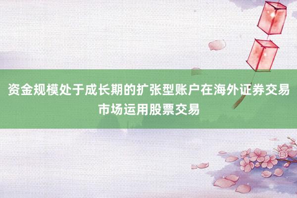 资金规模处于成长期的扩张型账户在海外证券交易市场运用股票交易