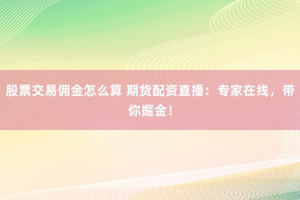 股票交易佣金怎么算 期货配资直播：专家在线，带你掘金！