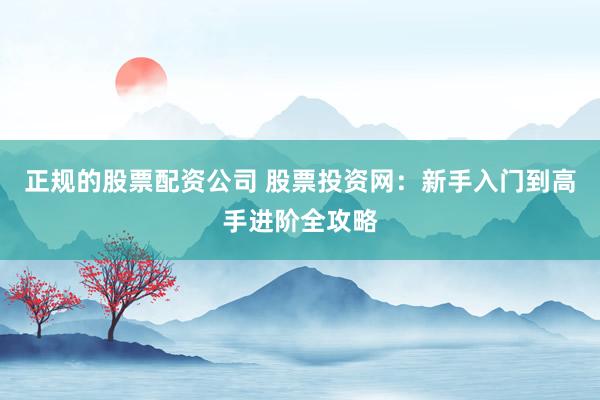 正规的股票配资公司 股票投资网:新手入门到高手进阶全攻略