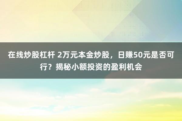 在线炒股杠杆 2万元本金炒股，日赚50元是否可行？揭秘小额投资的盈利机会