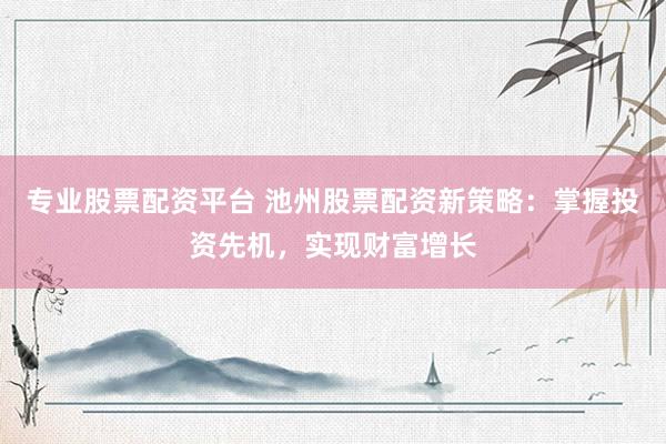 专业股票配资平台 池州股票配资新策略：掌握投资先机，实现财富增长