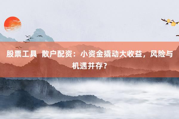 股票工具 散户配资:小资金撬动大收益,风险与机遇并存?