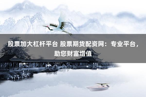 股票加大杠杆平台 股票期货配资网：专业平台，助您财富增值