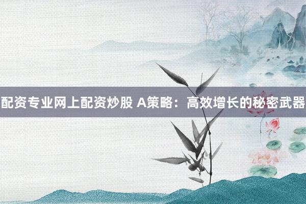 配资专业网上配资炒股 A策略：高效增长的秘密武器