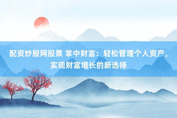 配资炒股网股票 掌中财富：轻松管理个人资产，实现财富增长的新选择